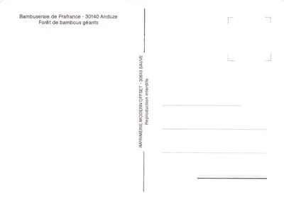 Las gigantycznych bambusów — Bambuseraie de Prafrance, Anduze — Drukarnia Modern'Offset, 30610 Sauve — Rewers