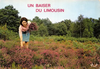 Mulher em uma campina de flores — Um beijo do Limousin — editor M.J.F.