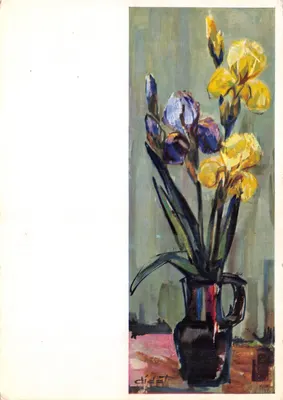 Íris amarelos e violetas — natureza morta em vaso — editor DIDOT *1938