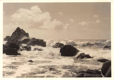 Praias da Côte Sauvage — marismas salgadas — editor VU PAR JACQUES CHOLET