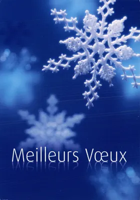 Neige — flocon en premier plan — Pfizer