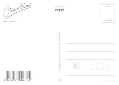 Dwa kotki — na kwietnym łąku — Connections, nr 002504 — Rewers
