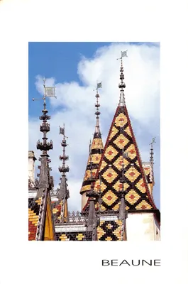 Beaune — telhados decorados com telhas coloridas e pináculos góticos — Edições Voyages