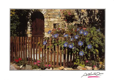Jardim florido em frente a uma porta de madeira — editor AuthentiQues