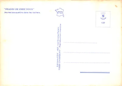 Jovens bouquetins nas rochas — Editor EDY, n° 137 — Verso