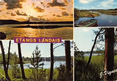 Etangs Landais — paysage de lacs et forêts — J. Vignes