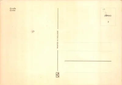 Jirafa — savana africana — editor JUMBO, n°3 — Verso