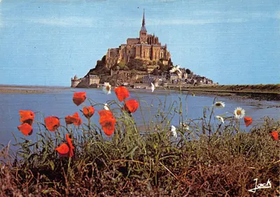 Monte Saint-Michel — vista panorâmica com flores em primeiro plano — editor Jack