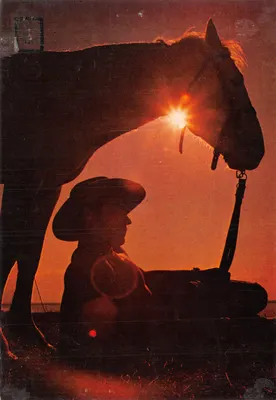 Cowboy e cavalo — silhueta ao pôr do sol — Edições FISA, série 3135/4