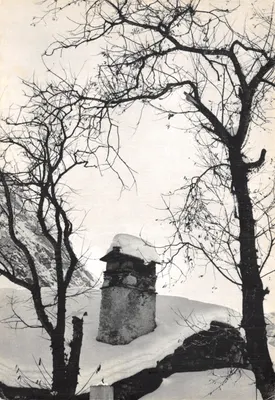 Caminho de montanha nevado — torre de pedra sob árvores nuas — editor Pierre Huart, fotografia n° 18