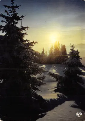 Montanhas no inverno — Último raio de sol sobre a neve e os pinheiros — editor Couleurs Naturelles, n° 5072