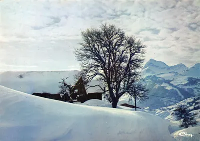 Paisagem invernal — chalé nevado com árvore isolada — editor Cing