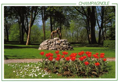 Champagnole — statue de chien sur rocher dans un parc — Images de Franche-Comté