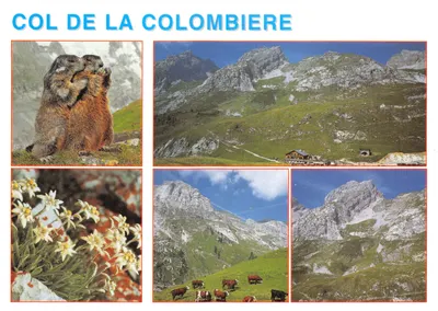 Col de la Colombière — vista panorâmica e animais alpinos — Éditions Cliché et réalisations Grenoble