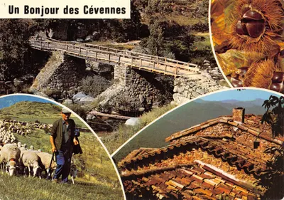 Um Olá das Cévennas — ponte de madeira sobre rochedos, pastor com ovelhas, telhado de tijolos, castanhas — Edições Magenta, Lyon