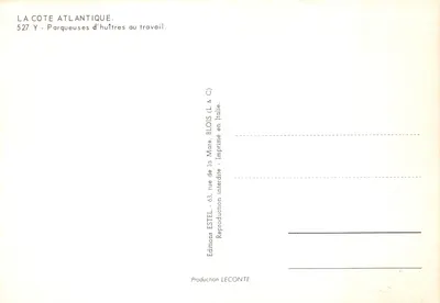 Costa Atlântica — Mulheres colhendo ostras — Editora ESTEL — Verso