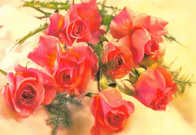Arranjo de rosas — composição floral — editor IMPRIMÉ SUR LA CARTE