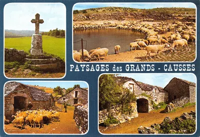 Paisagens dos Grands Causses — Croix du Buffre, lavogne, bergeries caussenardes — Edição de luxo, Photo Editions BOS