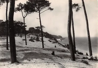 Le Parc des Abatilles — vue sur les passes du Bassin — Éditions d'Art Martello