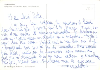 Aster alpinus — fleurs violettes et jaunes sur rochers — Photoglob-Wehrli SA, Zurich/Vevey n°31 — Verso