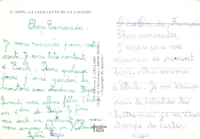 Colheita de lavanda — campos em terraços sob um céu azul — Éditions J. CELLARD, n° F. 30507 — Verso