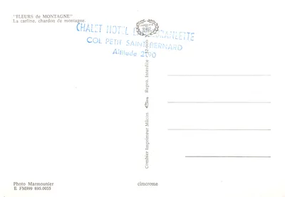Flores de montanha — A carline, cardo de montanha — Foto Marmounier, Impressor Combier, série FM999 895.0035 — Verso