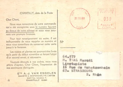 Jardim de tulipas — A.J. VAN ENGELLEN N.V. HILLEGOM, n°15 — Verso