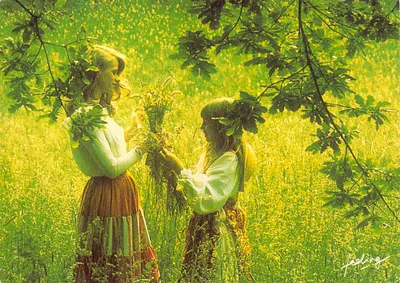 Deux jeunes filles en costume traditionnel — scène de partage de bouquet dans un champ — éditeur Feeling