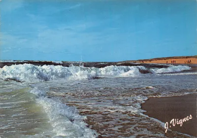 Plage de la Côte Aquitaine — vagues sur sable — éditeur J. Vignes