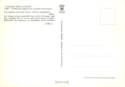 Plage de la Côte Aquitaine — vagues sur sable — éditeur J. Vignes — Verso