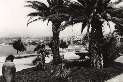 Cannes - Les grands hôtels de la Croisette vus du Parc Albert 1er — éditeur Rella, n° 20-0058