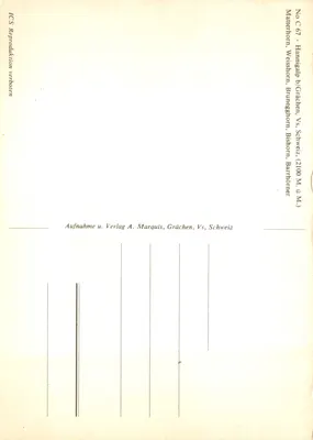 Matterhorn, Weisshorn, Bruneckhorn, Bishorn — vue alpine avec moutons — éditeur A. Marquis, Grächèn, Vs, Suisse, n° C 67 — पीछे