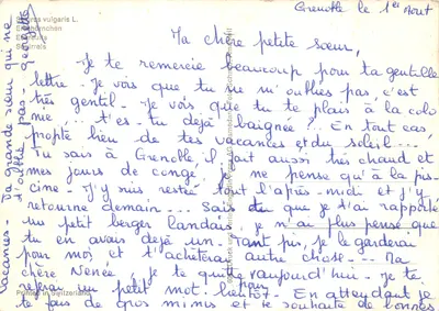 Trois écureuils roux — scène dans un arbre — éditeur: Verlag Engadin Press AG — Verso