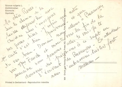 Trois écureuils roux — scène sur branche d'érable — éditeur Engaduin Press AG, n° 604 — Verso