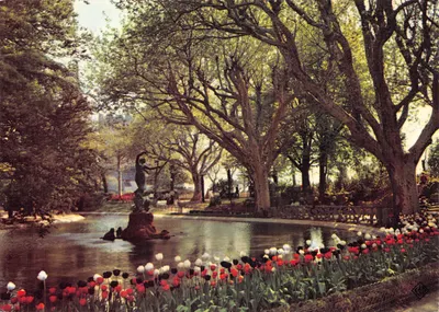 Jardin du Rocher des Doms — Avignon (Vaucluse) — éditeur Elnacap, n° 797
