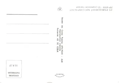 Typowy kurnik — budynki na palach z dachem z cegły — wydawca AS de Cœur, nr PP-6008 — Rewers