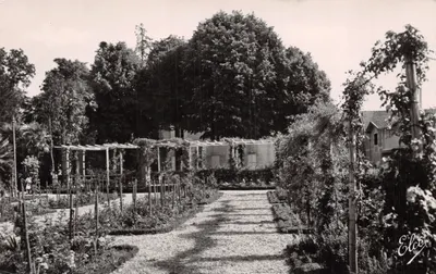Roseraie du Jardin Public — Bergerac (Dordogne) — L. Chatagneau, Bordeaux