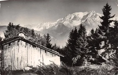 Mont Blanc — vue depuis le Bettex — éditeur C.A.P. (C.A.P. Réal Photo)