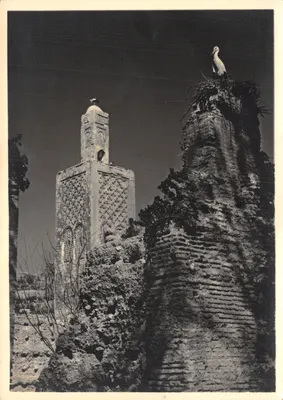 Minaret de la mosquée de Chellah — Rabat — Éditeur: Photos Éditions Van-Vollenhoven, n° 10.751