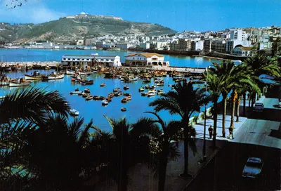 Ceuta — Port des pêcheurs et promenade des palmiers — Éditeur R. González, N° 3