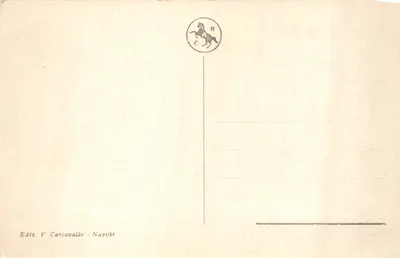 ナポリ — ロマ通りと中央の噴水 — 発行者 V. Carcavallo — 裏面