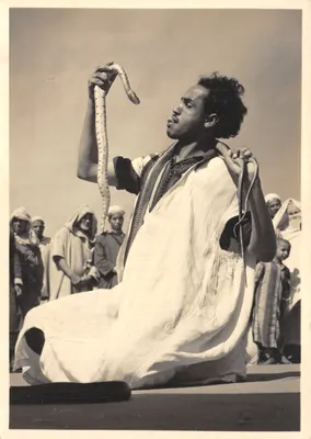 Charmeur de serpents — scène de spectacle en plein air — Éditions Van-Vollenhoven, Rabat