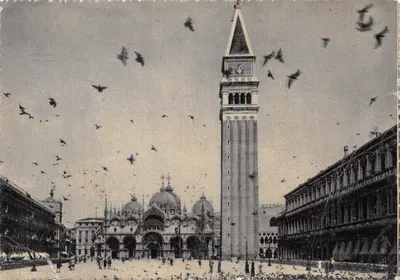 Piazza San Marco — Basilique et Campanile de Venise — éditeur VENEZIA 4871-11