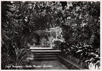 Lago Maggiore - Isola Madre - Giardini — éditeur Fotostampa Reggiori, Varese