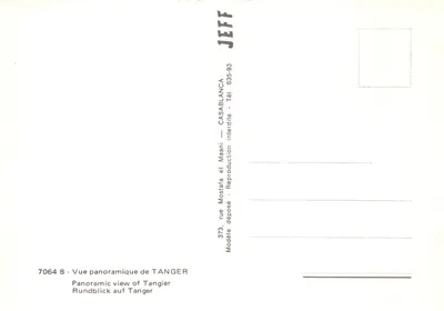 Panoramiczny widok na Tangier — widok z drzewa, z minaretem i miastem na tle — wydawca JEFF, nr 7064 B — Rewers