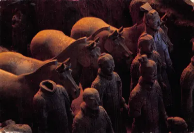Terra-Cotta Cavalry Soldiers — Vue des statues de guerriers et de chevaux — éditeur non visible
