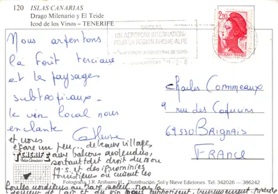 Icod de los Vinos — vue du Drago Milenario et du Teide — éditeur Lito A. Romero S.A. n°120 — 裏面