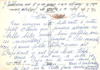 Krowy w pracy — dwie krowy z czerwonymi halami i kokardami — wydawca LAVIELLE, nr 3.008 — Rewers