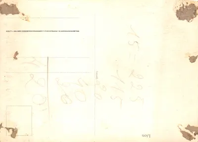 Lion — en enclos avec visiteurs — éditeur non visible — Verso