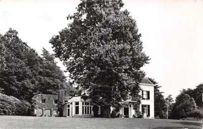 Villa 'De Pietersberg' — vue d'ensemble avec grand arbre — éditeur Train, n° 421769